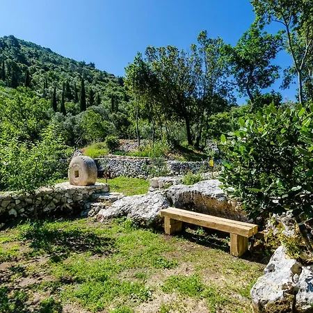 Korita