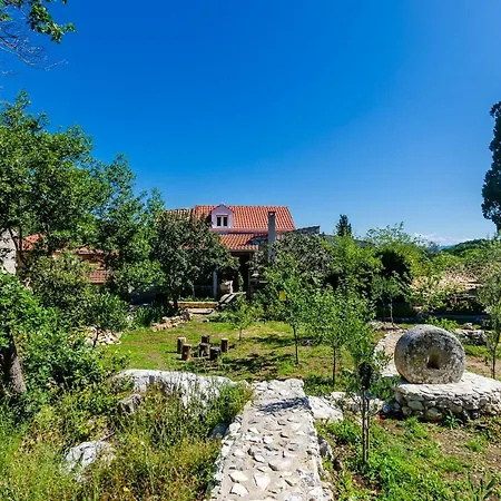 Korita