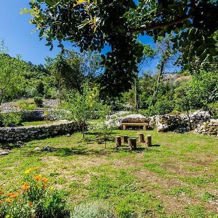 Apartman Korita Maranovići